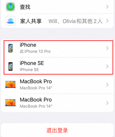 滨海苹滨海果维修网点分享iPhone如何查询序列号