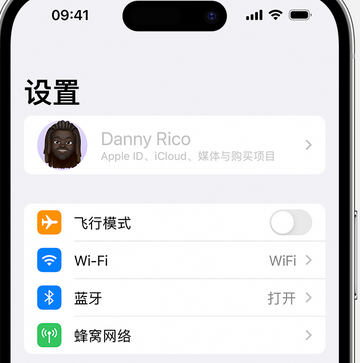 滨海appleID维修服务iPhone设置中Apple ID显示为灰色无法使用 