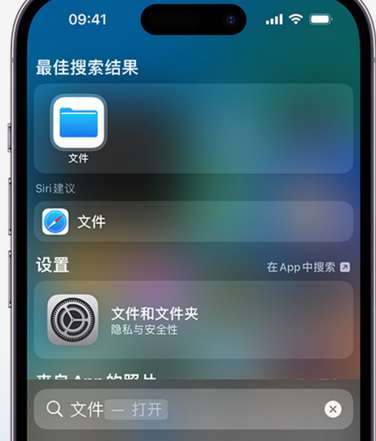 滨海apple维修中心分享iPhone文件应用中存储和找到下载文件