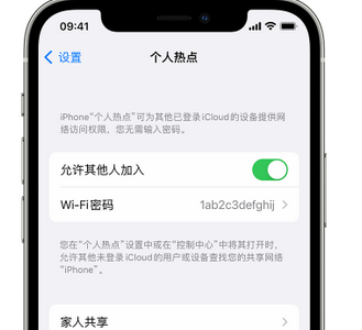 滨海apple服务站点分享iPhone上个人热点丢失了怎么办 