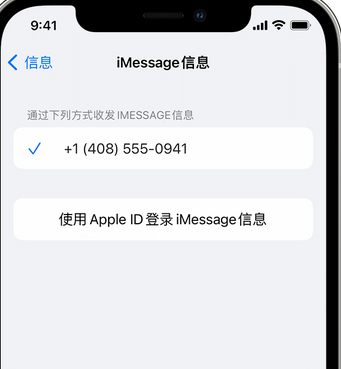 滨海apple维修iPhone上无法正常发送iMessage信息 