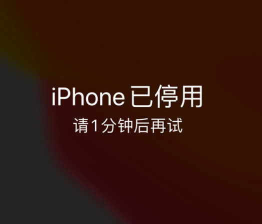 滨海苹果手机维修分享:iPhone 显示“不可用”或“已停用”怎么办？还能保留数据吗？ 