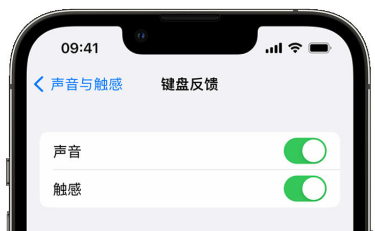 滨海苹果手机维修分享iPhone 14触感键盘使用方法 