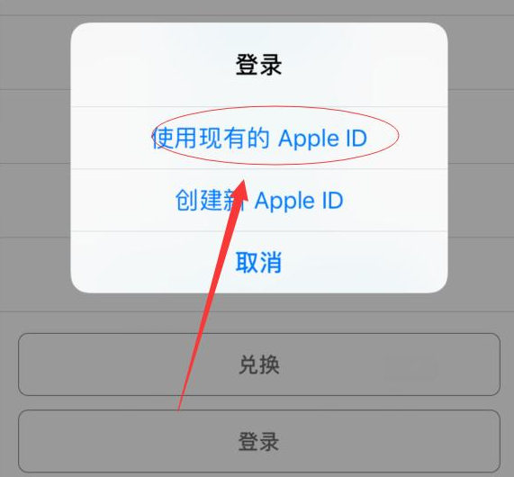 滨海苹果手机维修分享两台iPhone设备可以同时登录一个Apple ID吗 