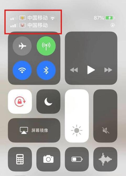 滨海苹果手机维修分享为 iPhone 12 双卡设置标签 