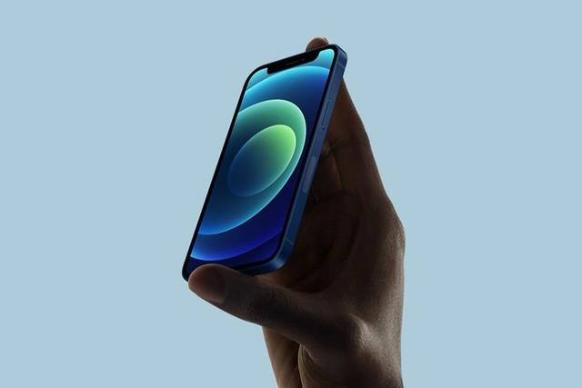 滨海苹果手机维修分享iPhone 12 mini辐射很大吗 